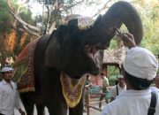 Perayaan Rahina Tumpek Uye Bakal Ramaikan Cultural Night World Water Forum Ke-10 di Bali