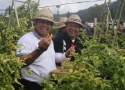 Kendalikan Inflasi, Pemprov Bali Dorong Gerakan Tanam Pangan Cepat Panen