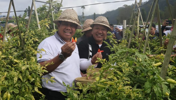 Kendalikan Inflasi, Pemprov Bali Dorong Gerakan Tanam Pangan Cepat Panen